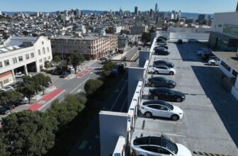 Tesla Turns to a Basic Tactic to Spark a Shopping for Frenzy