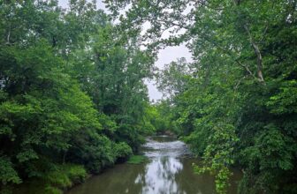 The Little Issues E-newsletter #478 – Life, laughter, numerous nice meals!