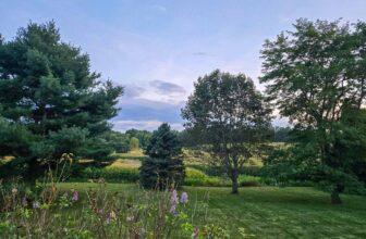 The Little Issues Publication #485 – Life, laughter, and plenty of nice meals!