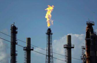 DOGE Cuts and Borked Code Delay Vital Vitality Report