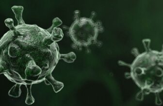 NYC Is Getting Hit Laborious by the ‘Tremendous Flu’—and the Worst Is But to Come