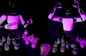 Elon Musk’s Optimus Robotic Collapses in a Hilariously Suspicious Approach