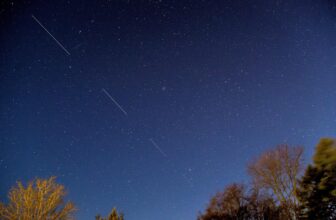 Starlink is reducing hundreds of satellites’ orbits to cut back threat of collisions
