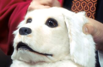 The Dogbert Puppet From the Misplaced ‘Dilbert’ Reside-Motion TV Present Is Haunting